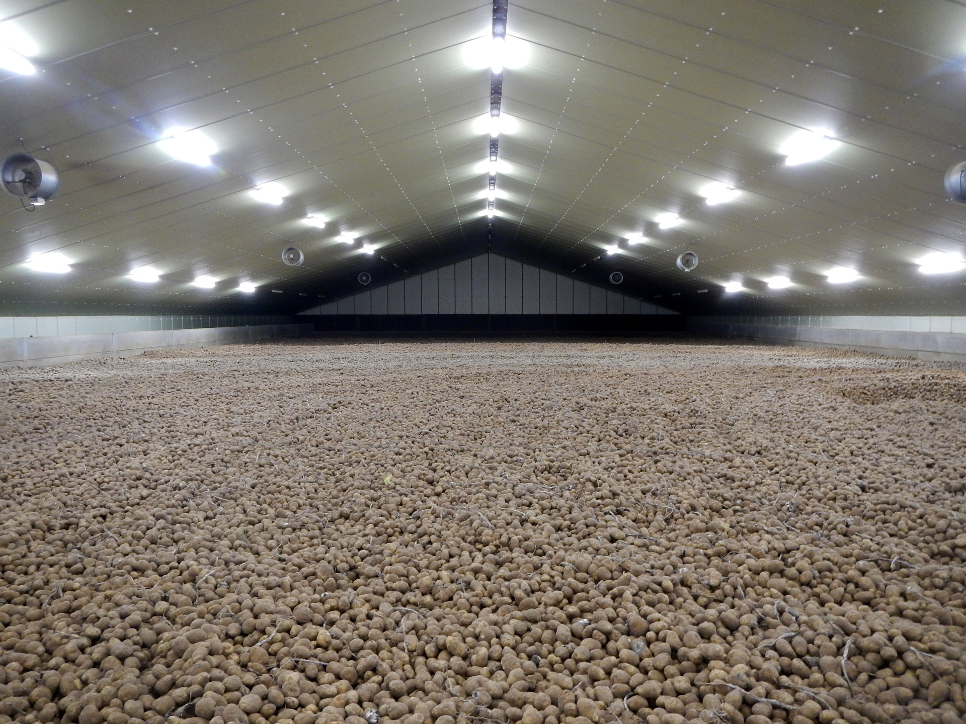Un remarquable hangar réfrigéré pour la conservation de pommes de terre en Rhénanie.