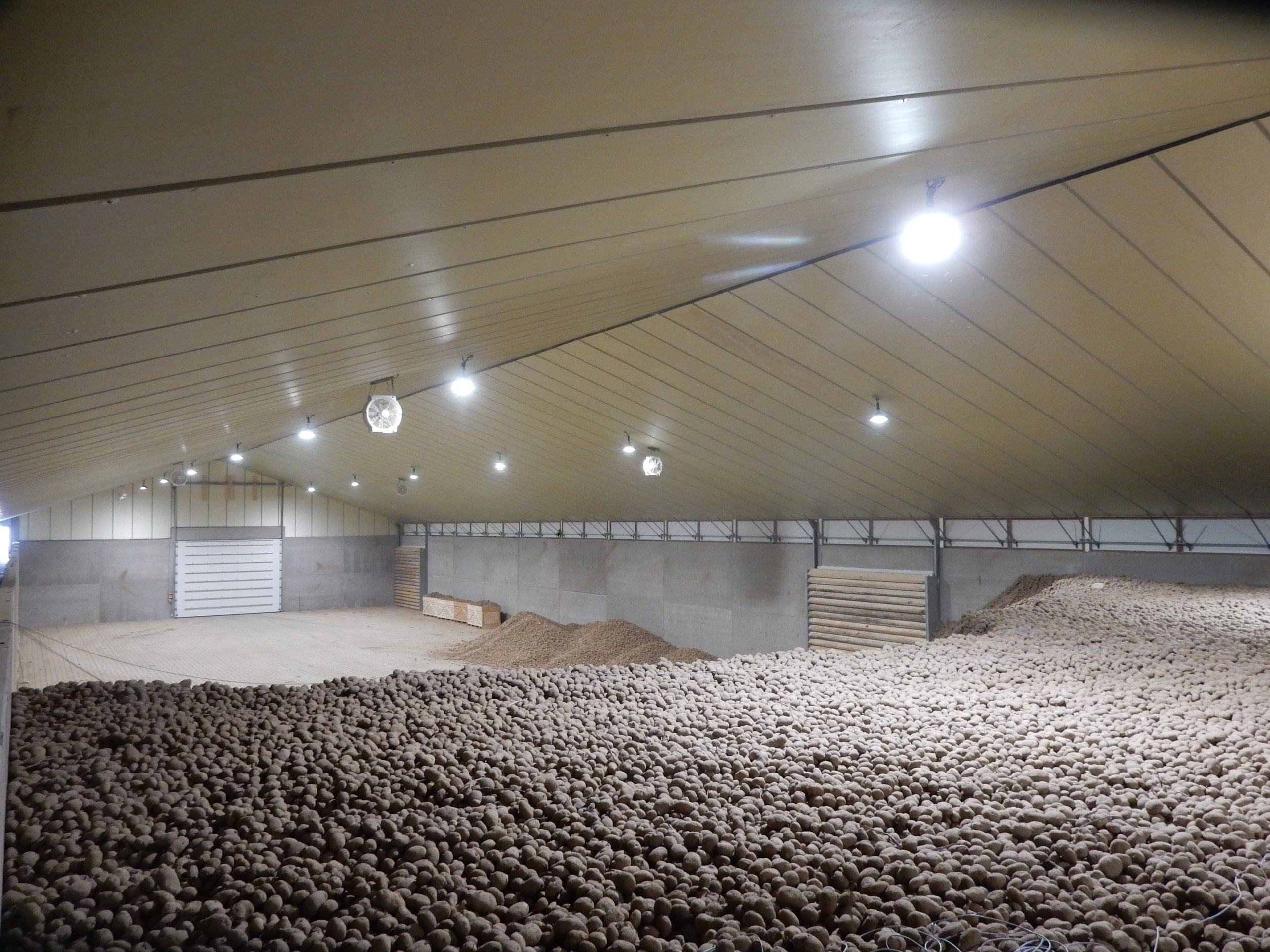 Valorisation des pommes de terre en tant que fertilisant : conditions