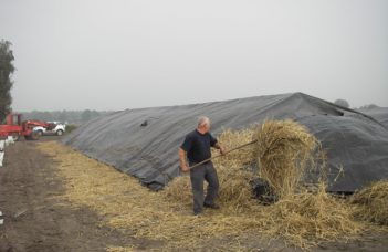 La « kuilbewaring » ou conservation en silo : un exemple pratique dans le nord de la Campine.