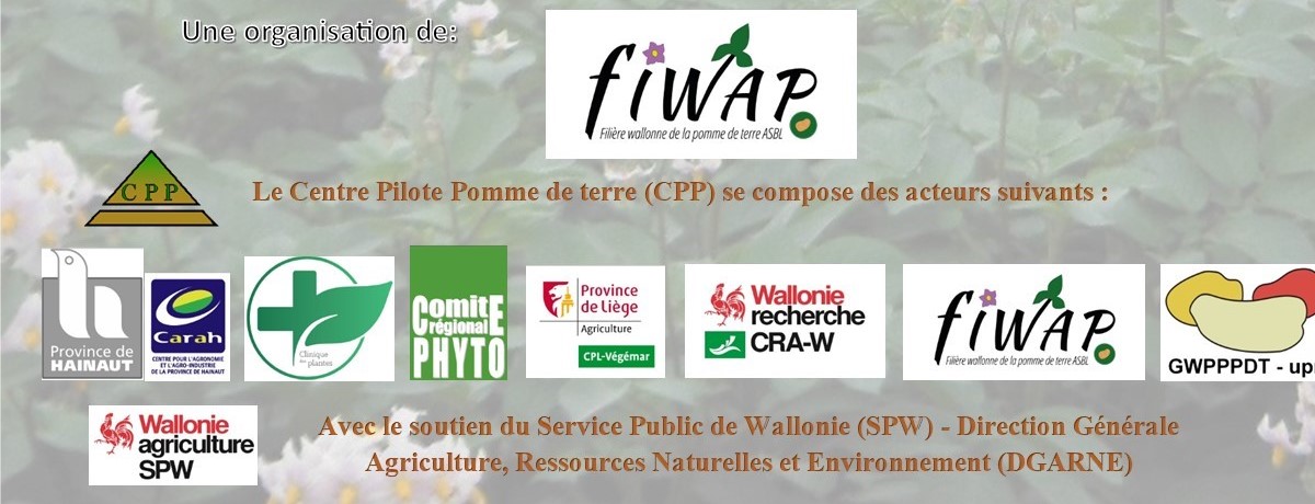Réunion (webinaire) phytolicence du Centre Pilote Pomme de terre – 9/11/2021
