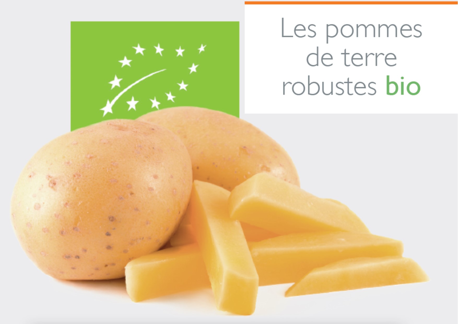 Les pommes de terre robustes bio
