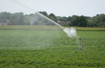 Recherche bibliographique sur la gestion de l’eau en culture de pommes de terre en vue d’améliorer l’approvisionnement en eau quand la pluviométrie est déficitaire pendant la saison de croissance
