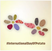 Le 30 mai : Première journée mondiale de la pomme de terre