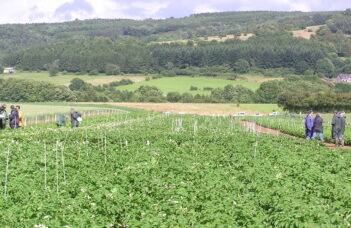 Le 13 juin : Visite du champ de post-contrôle plants de pomme de terre à Gembloux