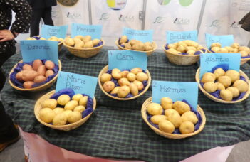 Les 19 et 20 novembre : British Potato 2025 à Harrogate (GB)