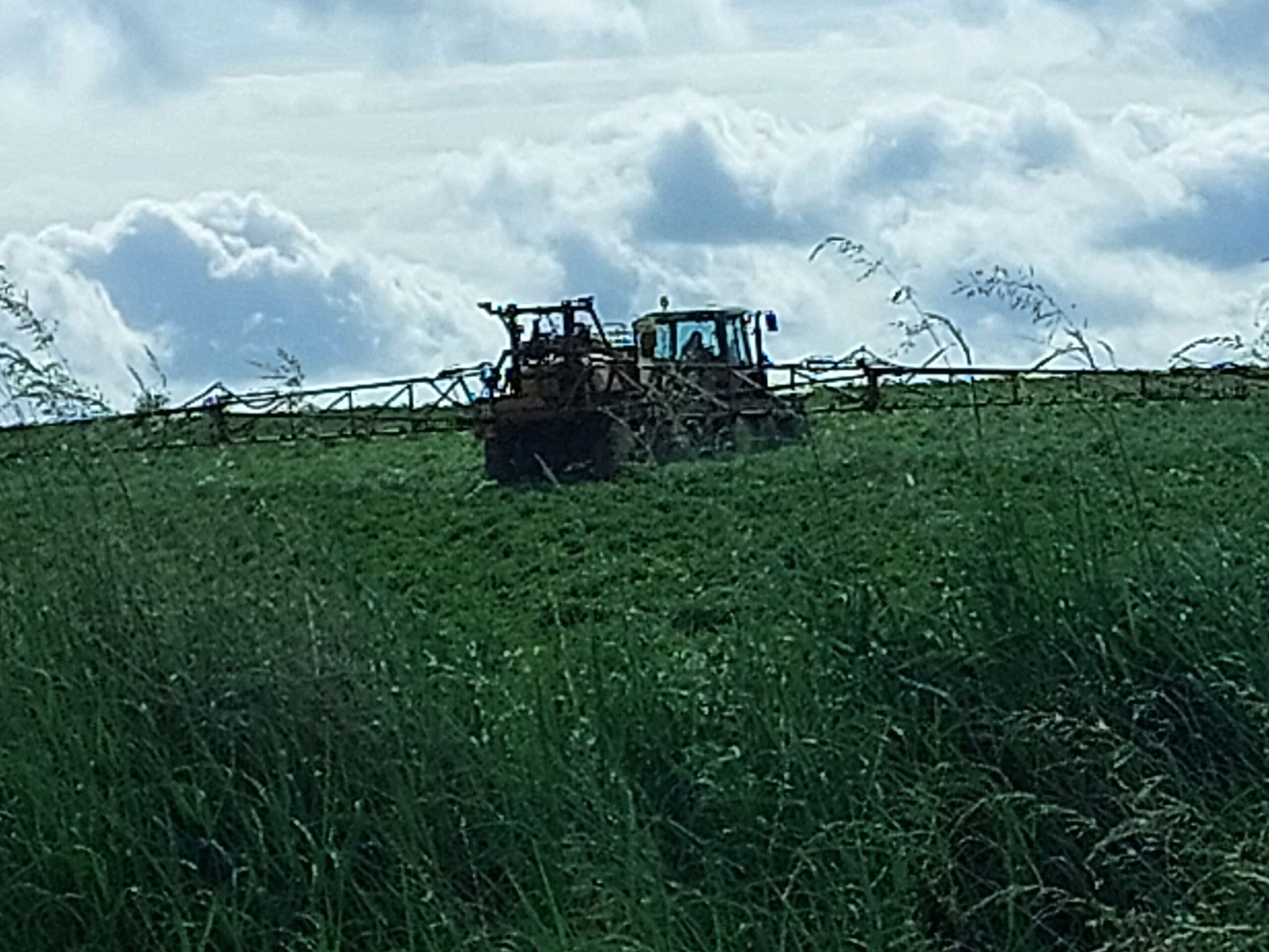 Changements dans les produits phyto agréés et leur application – Août 2025