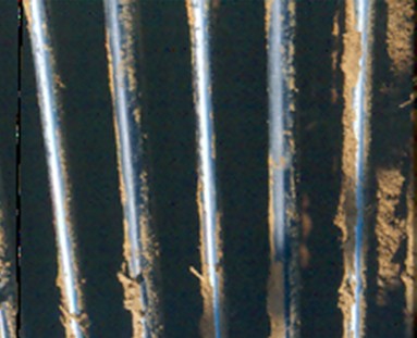 Maitrise des endommagements à l’arrachage et au stockage – Sept. 2025