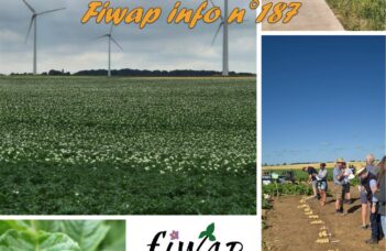 Fiwap Info 187 – Septembre 2025