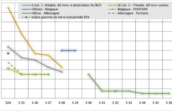 Les marchés ces derniers mois et les principales statistiques entre juillet et septembre 2025