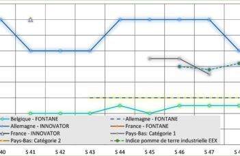Les marchés et les principales statistiques entre octobre et décembre 2025