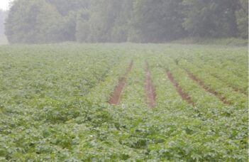 Phosphore, Potasse et Macro- et micro-éléments.