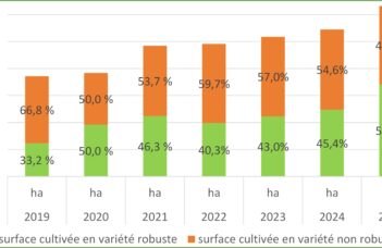 Evolution de la part des variétés robustes dans les champs en 2025 en production bio