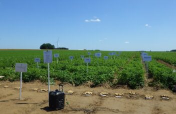 Quelques données à propos de la démo variétés robustes de Thisnes (Déc 2025)