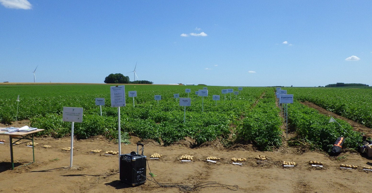 Quelques données à propos de la démo variétés robustes de Thisnes (Déc 2025)