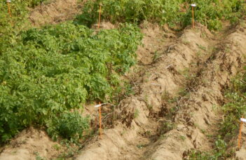 La nouvelle liste belgo-française des variétés robustes 2026 est disponible !