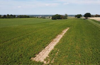 Quelques données de rendements pour une série de « nouvelles variétés frites » ainsi que pour les pommes de terre robustes (RR) frais et industrie