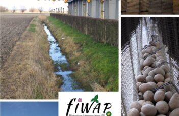 Fiwap Info 189 (mars 2026)