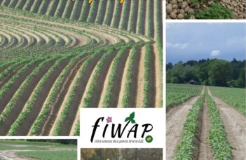 Fiwap Info 190 (juin 2026)