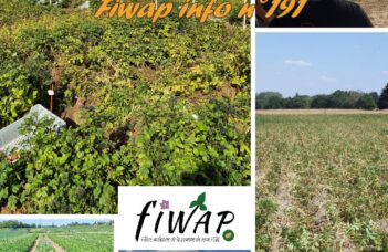 Fiwap Info 191 (septembre 2026)