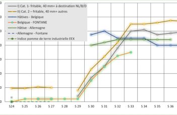 Les marchés entre avril et septembre 2026 et les principales statistiques