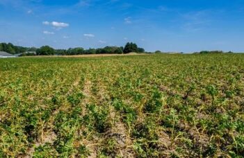 Rendement / qualité pdt en Belgique – Communiqué 5 25/09/2026