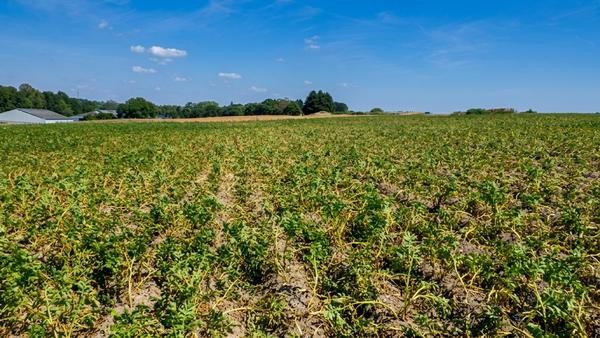 Rendement / qualité pdt en Belgique – Communiqué 5 25/09/2026